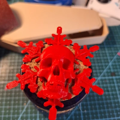 Đầu Lâu Tuyết / Skullflake