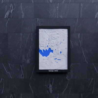 Mô hình 3D địa hình Raleigh, NCSU, Hoa Kỳ