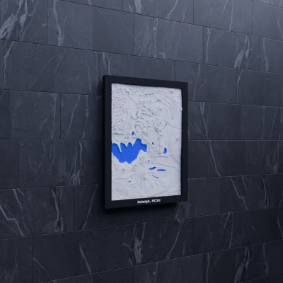 Mô hình 3D địa hình Raleigh, NCSU, Hoa Kỳ