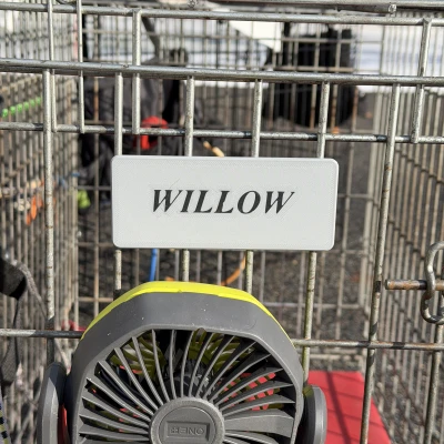 Nhãn Chuồng Chó Khắc Tên Tùy Chỉnh