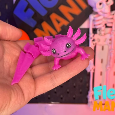 Axolotl Uốn Dẻo | Axolotl Khớp Nối Một Mảnh Siêu Cưng