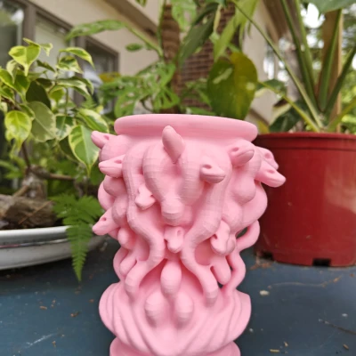 Chậu Medusa – Nét Quyến Rũ Khó Cưỡng