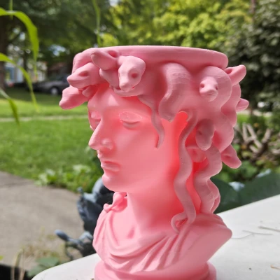 Chậu Medusa – Nét Quyến Rũ Khó Cưỡng