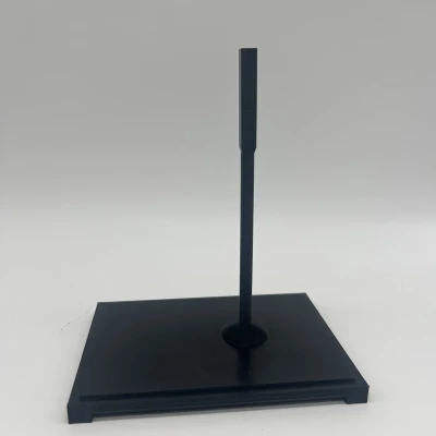 Mô Hình Sọ T-Rex