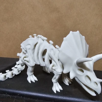 Bộ xương khủng long có khớp nối 2