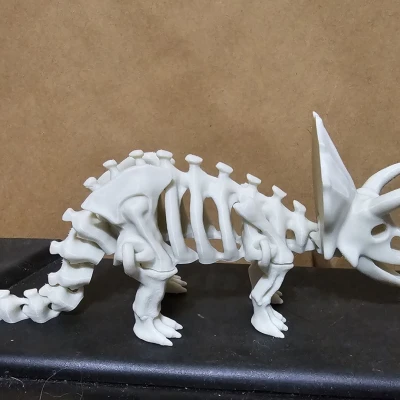 Bộ xương khủng long có khớp nối 2