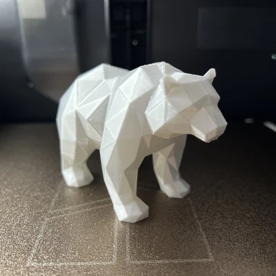 Gấu Bắc Cực Lì Lì