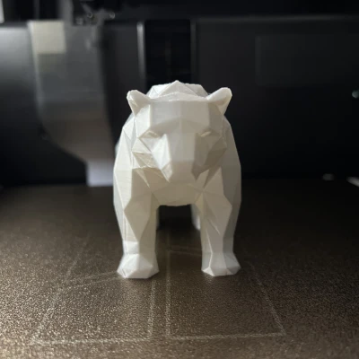 Gấu Bắc Cực Lì Lì