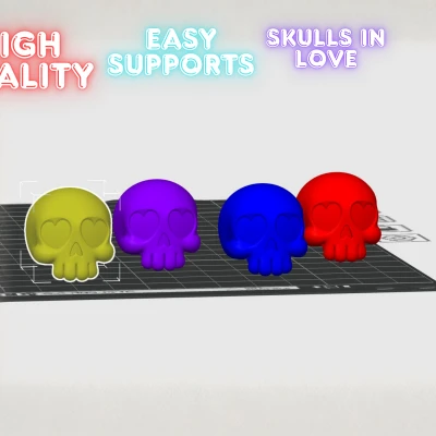 Hộp Sọ Nhỏ Xinh