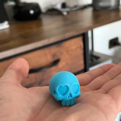 Hộp Sọ Nhỏ Xinh