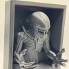 Kệ Sách 3D Xenomorph Alien - Thumbnail 3