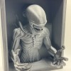 Kệ Sách 3D Xenomorph Alien - Thumbnail 5