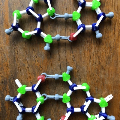 Mô hình phân tử cho gấp protein