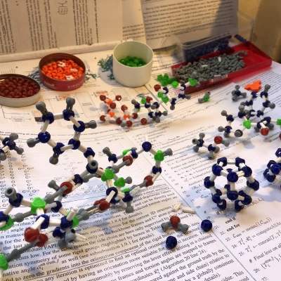 Mô hình phân tử cho gấp protein