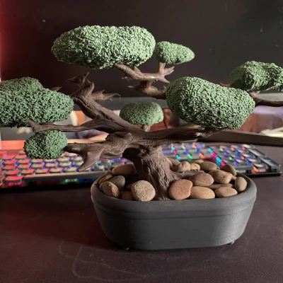 Cây Bonsai (Kệ Trang Sức)