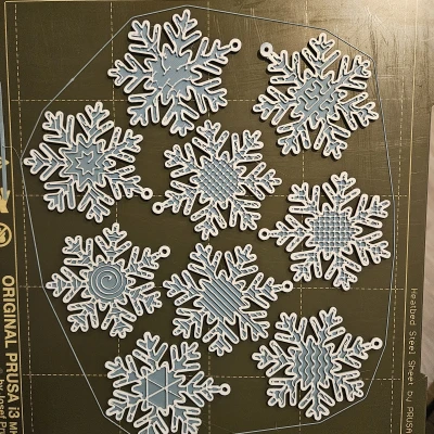 Mẫu Thử Infill Hình Bông Tuyết