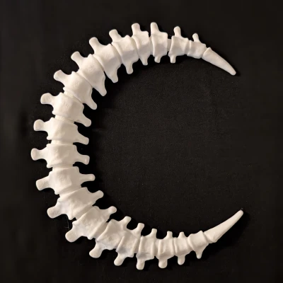 Trang Trí Tường Trăng Lưỡi Liềm Xương Sống - In 2 Giờ