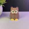 Mô hình Cú mèo (Một hoặc nhiều màu) - Thumbnail 4