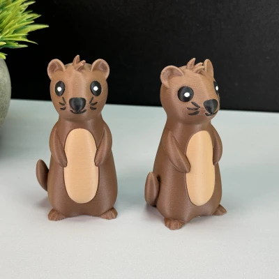 Rái Cá Dễ Thương