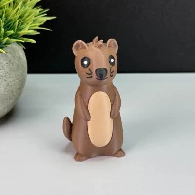 Rái Cá Dễ Thương