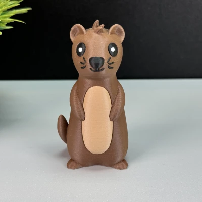 Rái Cá Dễ Thương