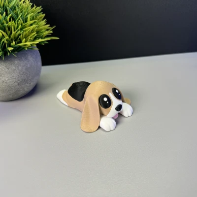 Chó con Dễ thương