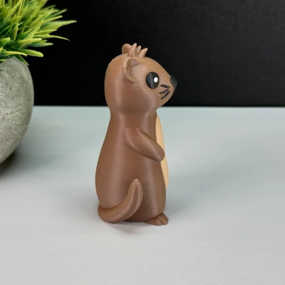 Rái Cá Dễ Thương