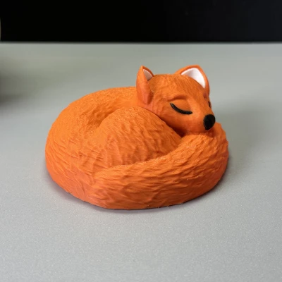 Chú Cáo Đang Ngủ