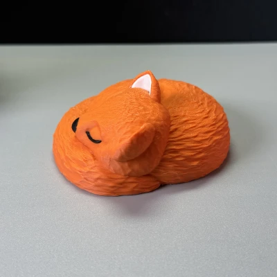 Chú Cáo Đang Ngủ