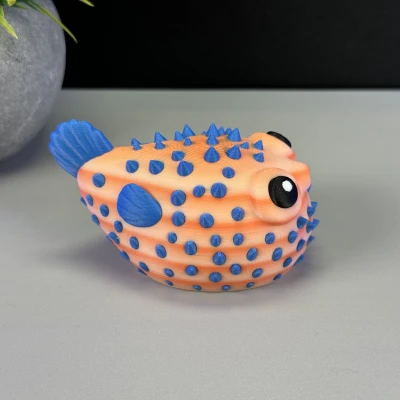 Cá Phồng Đáng Yêu