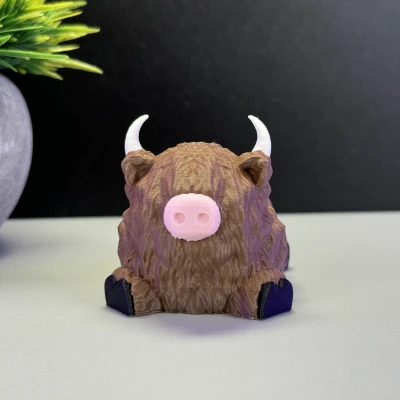 Bò Cao Nguyên Dễ Thương