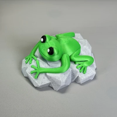 Con Ếch Trên Tảng Đá