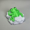 Con Ếch Trên Tảng Đá - Thumbnail 4
