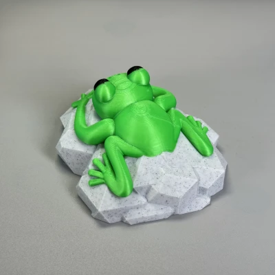 Con Ếch Trên Tảng Đá