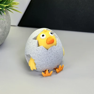 Gà Con Nhìn Ra Từ Trứng