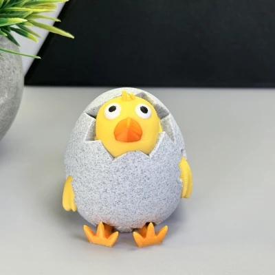 Gà Con Nhìn Ra Từ Trứng