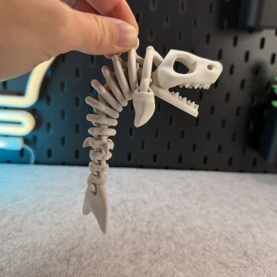 Cá Mập Bộ Xương Khớp Nối