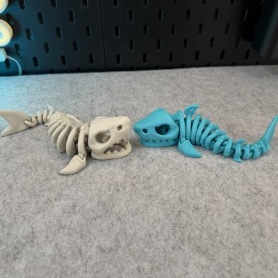 Cá Mập Bộ Xương Khớp Nối