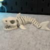 Cá Mập Bộ Xương Khớp Nối - Thumbnail 11