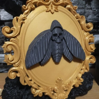 Mô hình Bướm Đầu Lâu trong Khung