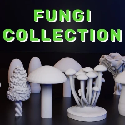 Nấm, Trang Trí Nấm, Địa Hình, Bộ Đạo Cụ (DND / TTRPG)