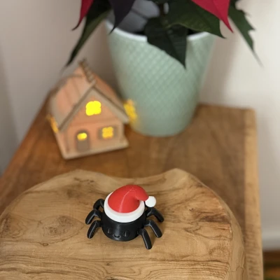 Nhện Giáng Sinh - Không cần in đa sắc