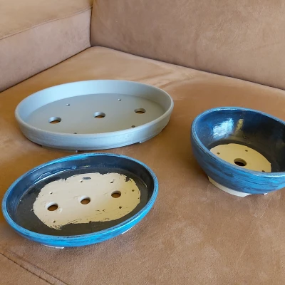 Chậu Bonsai (Shohin)