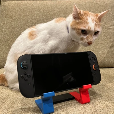Đế Nintendo Switch và Switch 2