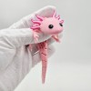 Axolotl Baby Flexi Lai Hybrid - Thumbnail 7