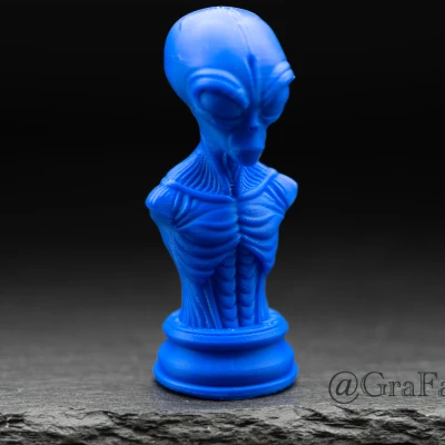 Vua "Thống Lĩnh Vũ Trụ" - Quân Cờ Vua