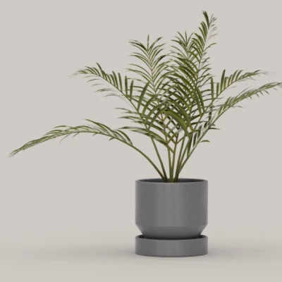 Bộ sưu tập chậu cây