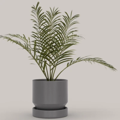 Bộ sưu tập chậu cây