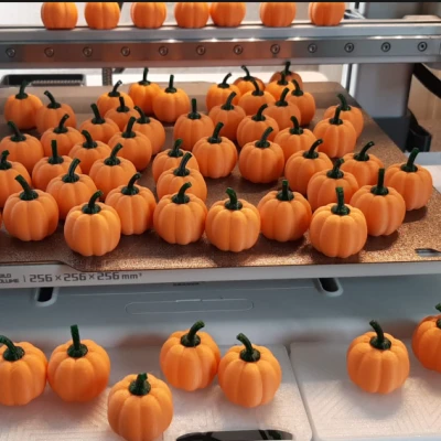 Bí Ngô Mini (Lễ Tạ Ơn/Halloween)