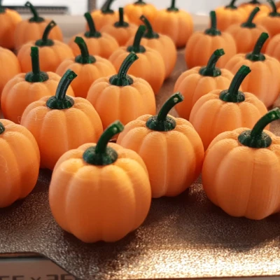 Bí Ngô Mini (Lễ Tạ Ơn/Halloween)